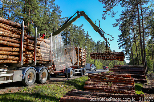 Image of Crane loading logs in the truck. 