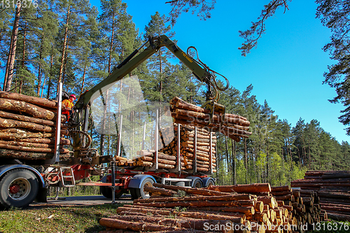 Image of Crane loading logs in the truck. 