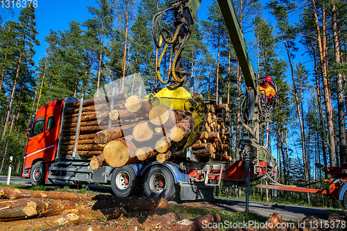 Image of Crane loading logs in the truck. 