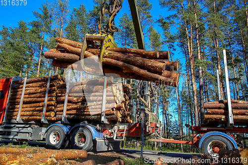 Image of Crane loading logs in the truck. 