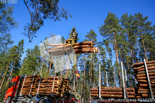 Image of Crane loading logs in the truck. 