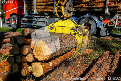 Image of Crane loading logs in the truck. 