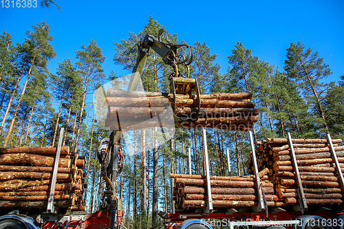 Image of Crane loading logs in the truck. 