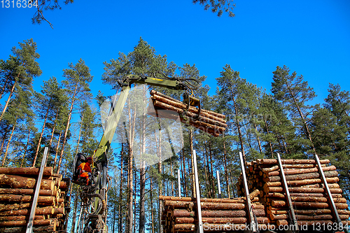 Image of Crane loading logs in the truck. 