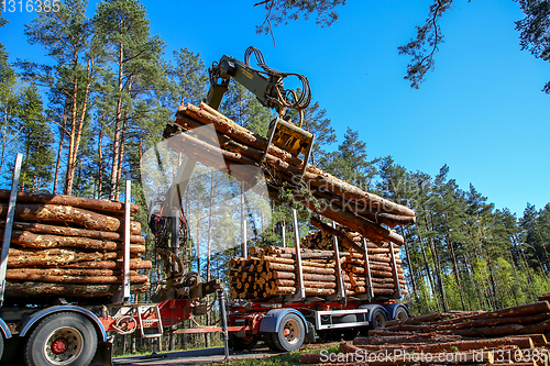 Image of Crane loading logs in the truck. 