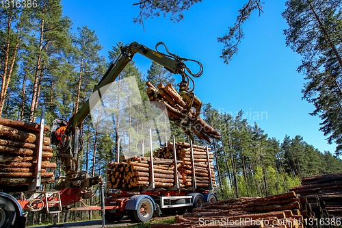 Image of Crane loading logs in the truck. 