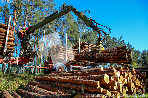 Image of Crane loading logs in the truck. 