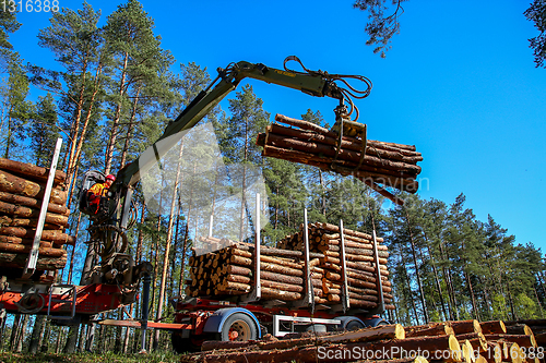 Image of Crane loading logs in the truck. 