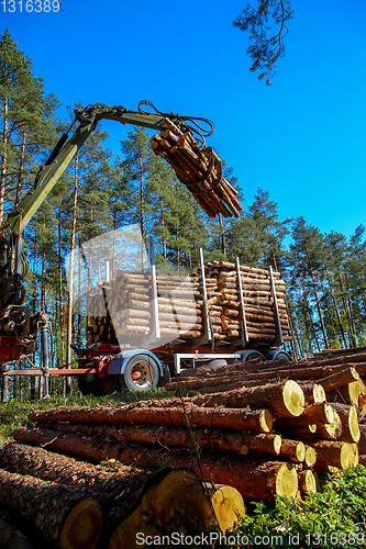 Image of Crane loading logs in the truck. 