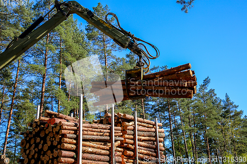 Image of Crane loading logs in the truck. 