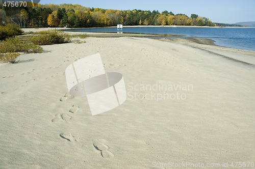 Image of Beach