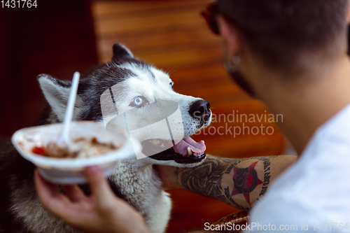 Image of Young man and his dog at barbecue dinner on sunset time