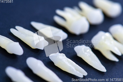 Image of White teeth on blue background