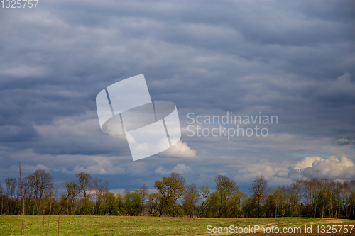 Image of Landscape with cereal field, trees and blue sky