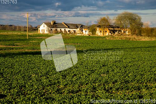 Image of Landscape with cereal field, old farm house and blue sky.