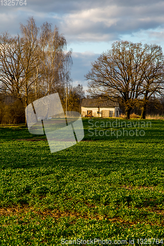 Image of Landscape with cereal field, old farm house and blue sky.