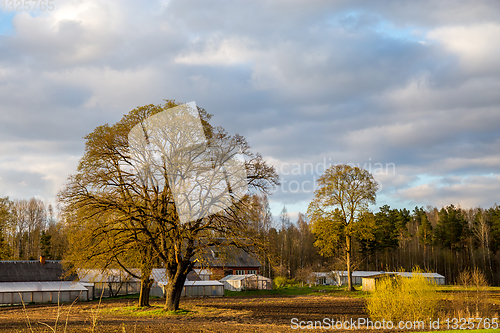 Image of Landscape with cereal field, old farm house and blue sky.