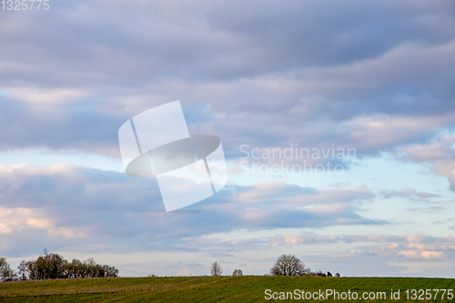 Image of Landscape with cereal field and blue sky