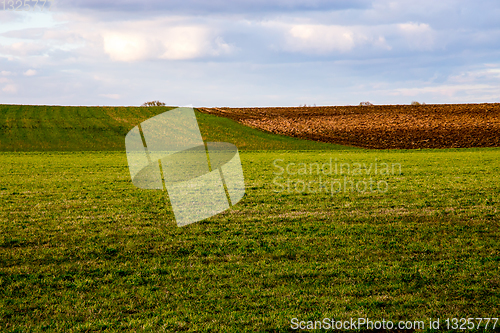 Image of Landscape with plowed field and blue sky.
