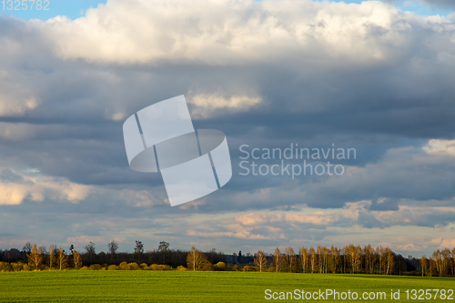 Image of Landscape with cereal field, forest and blue sky