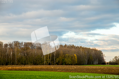 Image of Landscape with plowed field, trees and blue sky