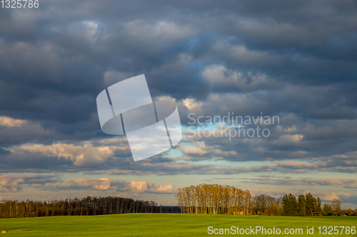 Image of Landscape with cereal field, trees and blue sky