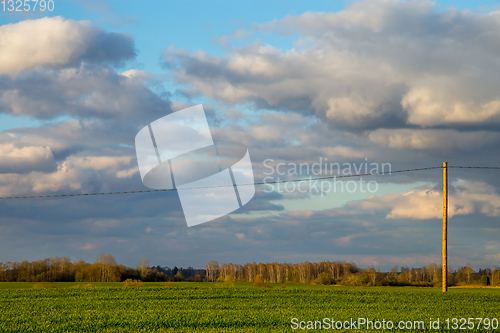 Image of Landscape with cereal field, trees and blue sky