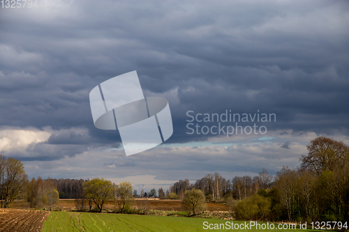 Image of Landscape with plowed field, trees and blue sky