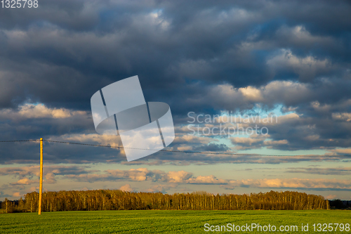 Image of Landscape with cereal field, trees and blue sky