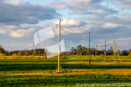 Image of Landscape with cereal field, trees and blue sky