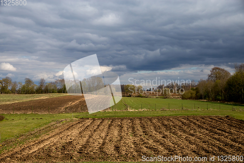Image of Landscape with plowed field, trees and blue sky.