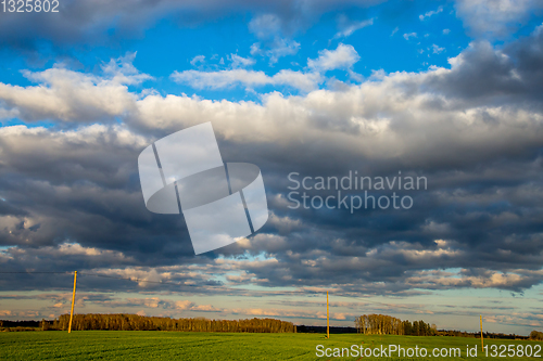 Image of Landscape with blue cloudy sky, cereal field and trees.