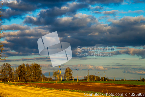 Image of Landscape with blue cloudy sky, cereal field and trees.