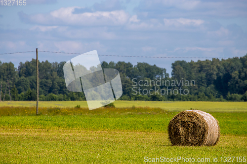 Image of Hay bale in the meadow.