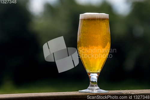 Image of Glass of beer on green nature background. 