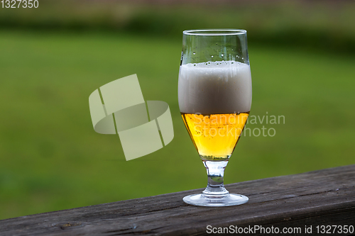 Image of Glass of beer on green nature background. 
