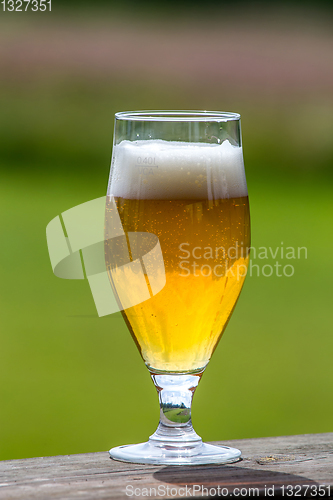 Image of Glass of beer on green nature background. 