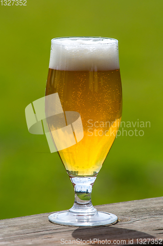 Image of Glass of beer on green nature background. 