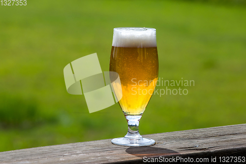 Image of Glass of beer on green nature background. 