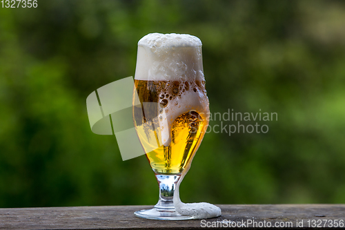 Image of Glass of beer on green nature background. 