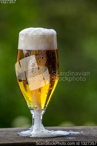 Image of Glass of beer on green nature background. 