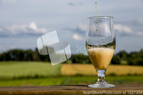 Image of Glass of beer on summer landscape background. 