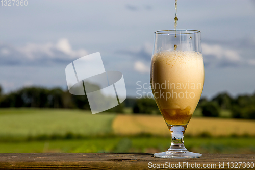 Image of Glass of beer on summer landscape background. 