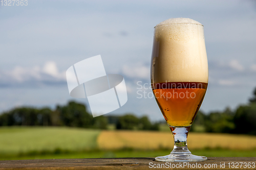 Image of Glass of beer on summer landscape background. 