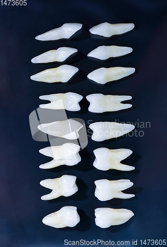 Image of Top view of white teeth on blue background