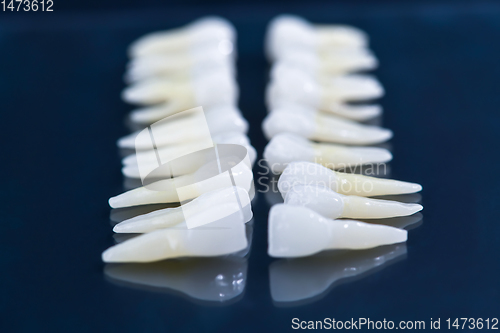 Image of White teeth on blue background