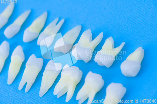 Image of Top view of white teeth on blue background