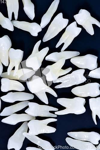 Image of White teeth on blue background