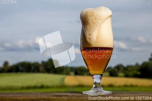 Image of Glass of beer on summer landscape background. 