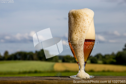 Image of Glass of beer on summer landscape background. 